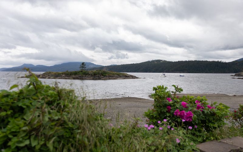 f3291c5f 54aa 4836 a1fd bf87df3f576d homerunner