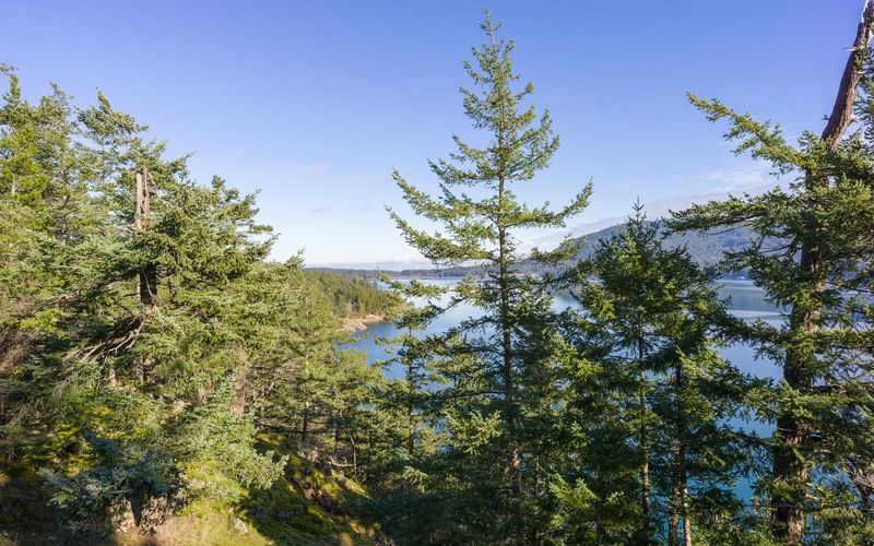 f4447a68 2432 493e a012 bcad784b51c8 homerunner