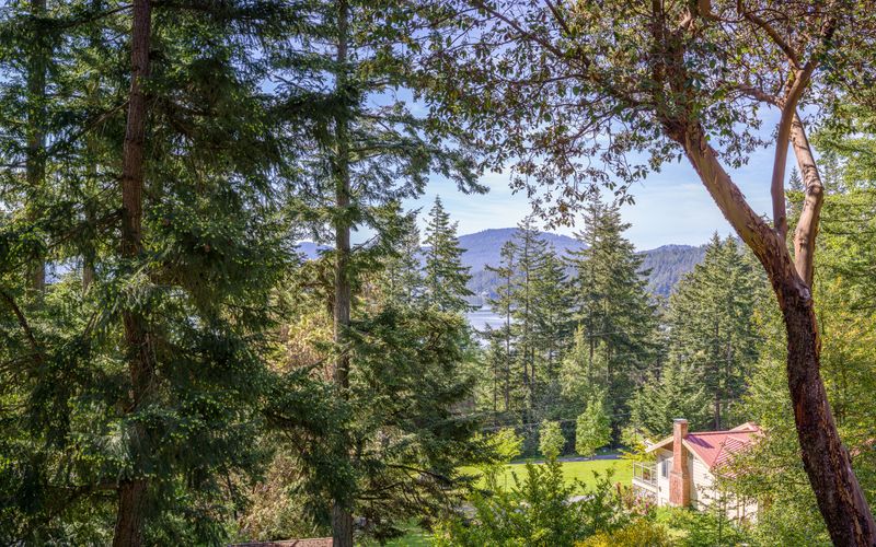 f695b3d0 b4a7 42f5 8d76 d0dc443f75d3 homerunner