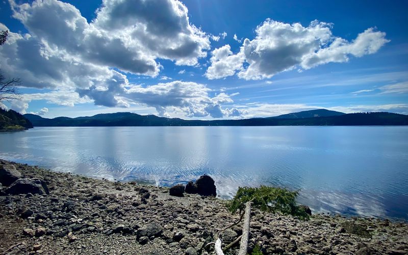 f8db55ab 7666 4250 bf2b 2c1e4fa4854e homerunner