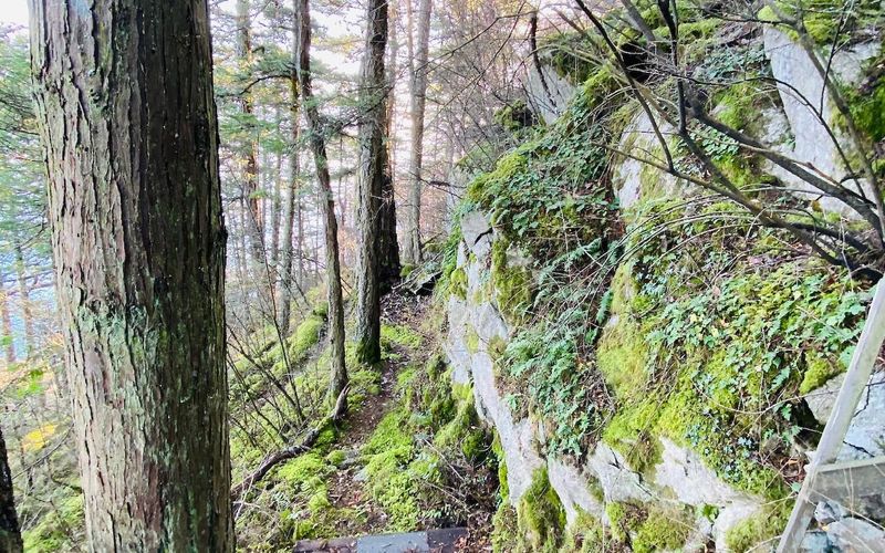 fb81df99 eb81 4ace ac91 8254551680a4 homerunner