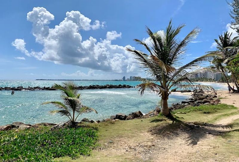 Enjoy the breathtaking ocean vistas and the vibrant pulse of city life in the distance.