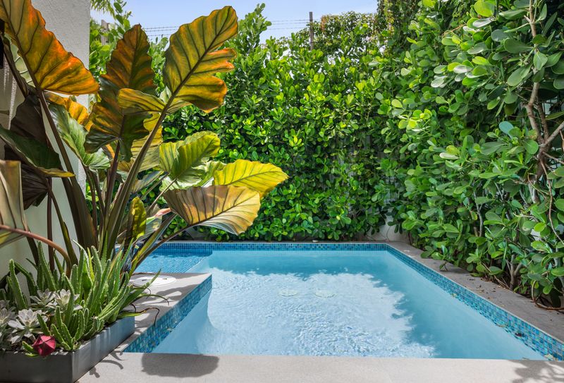 Unwind and soak up the sun by our stunning infinity pool, offering breathtaking views of lush tropical plants.