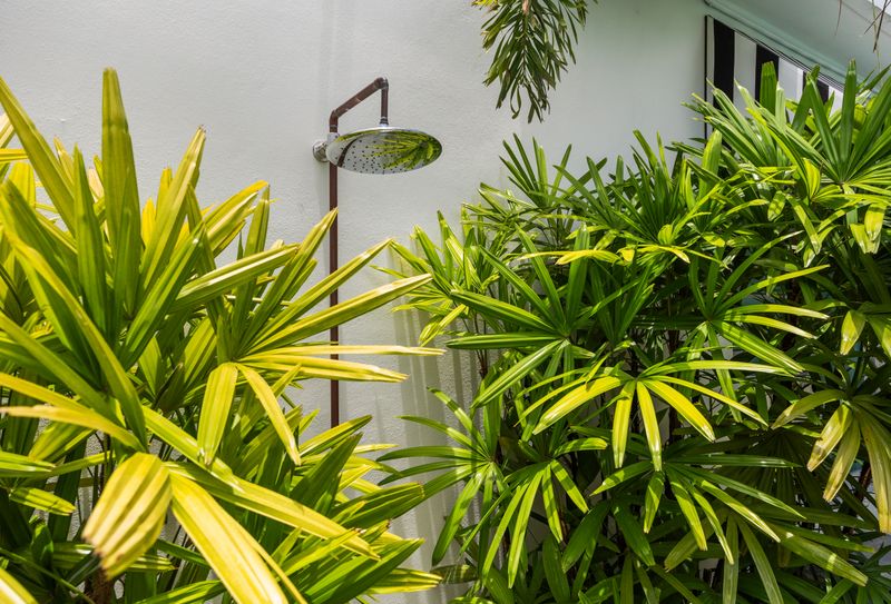 Refreshing outdoor shower, perfect for rinsing off after a day in the sun.