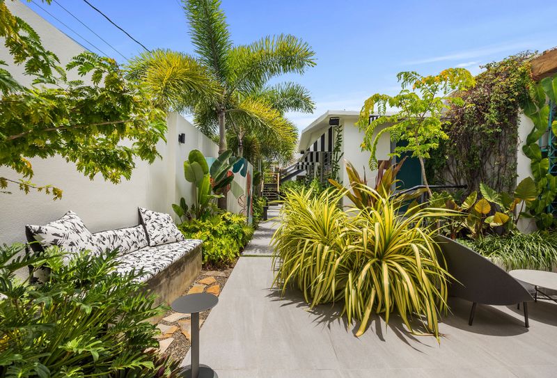 Inviting garden pathway leading to a cozy Airbnb, flanked by vibrant plants and palm trees.