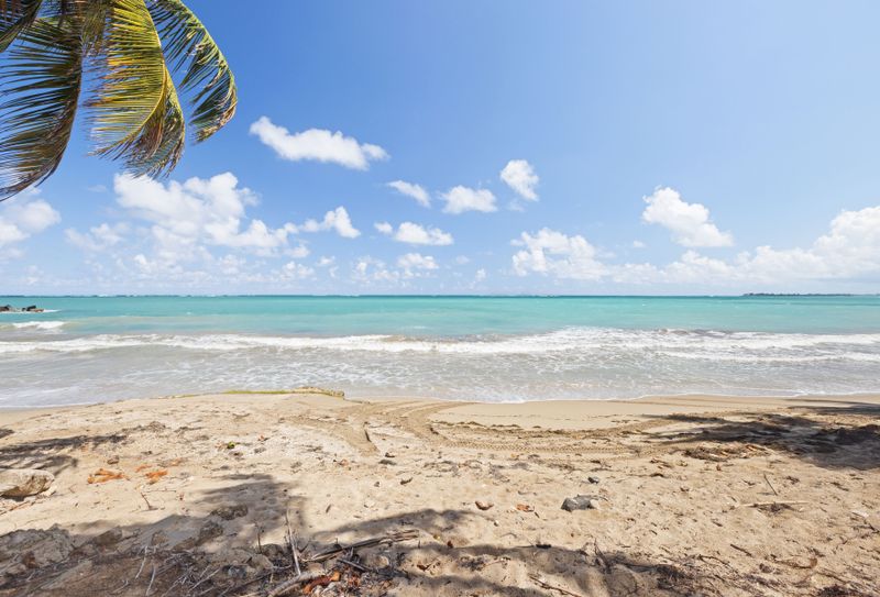 beachfront view from the building