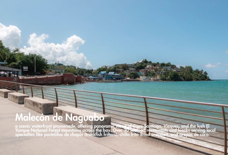 Explore Naguabo's coast. Fun is just a drive away.