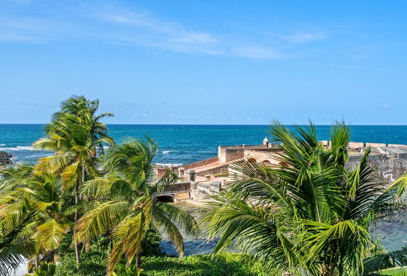 Immerse yourself in the beauty of the coastline, featuring swaying palm trees, crystal-clear waters, and the iconic architecture of the historic fort.