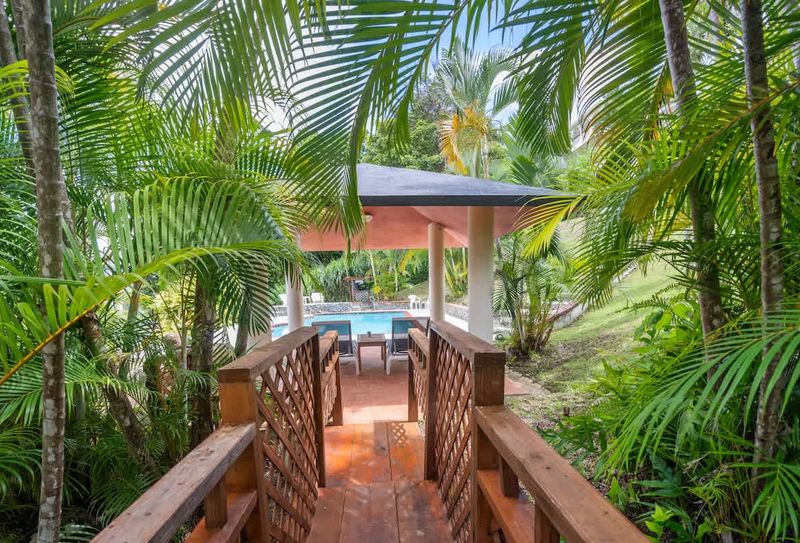 sparkling pool access showcasing relaxing tanning beds and palmtrees