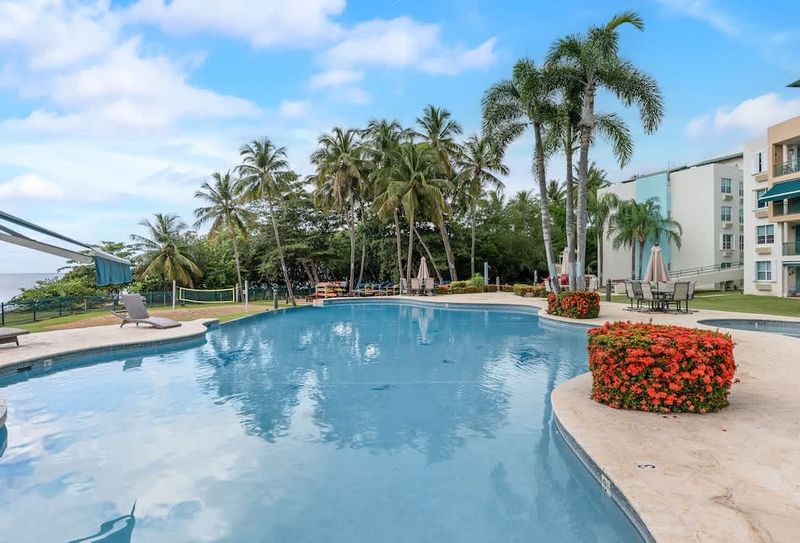 Tropical Escape | with Pool | Tennis | Cabo Rojo 3 Experience resort-style bliss by our stunning pool area. Surrounded by lush landscaping for ultimate relaxation.