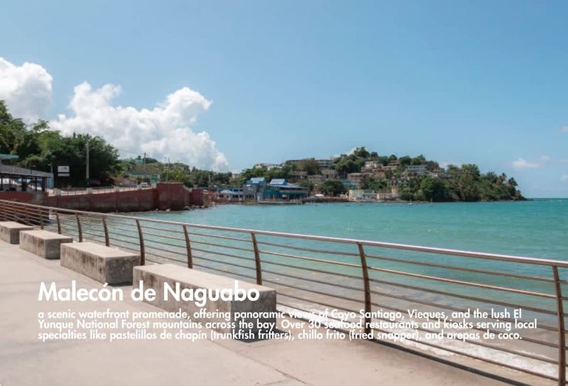 Explore Naguabo's coast. Fun is just a drive away.