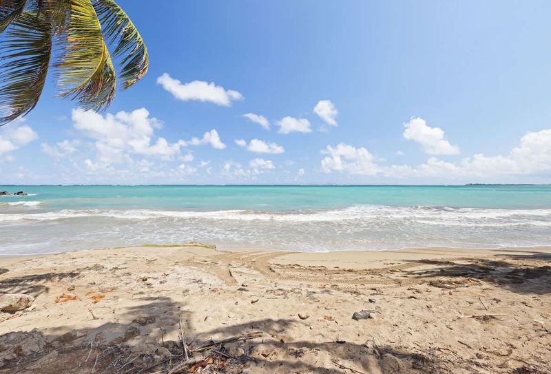 beachfront view from the building