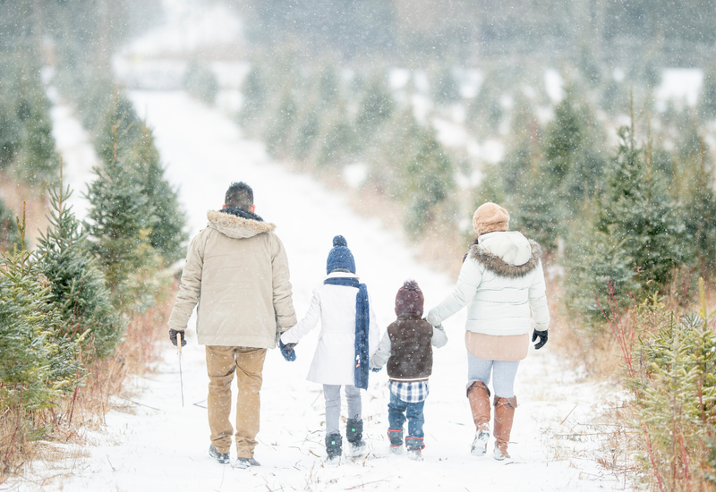 Family friendly winter adventures in the colorado rockies cover image