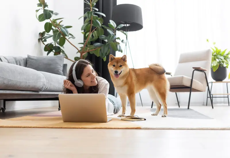 Best pet-friendly cabins near denver, colorado cover image