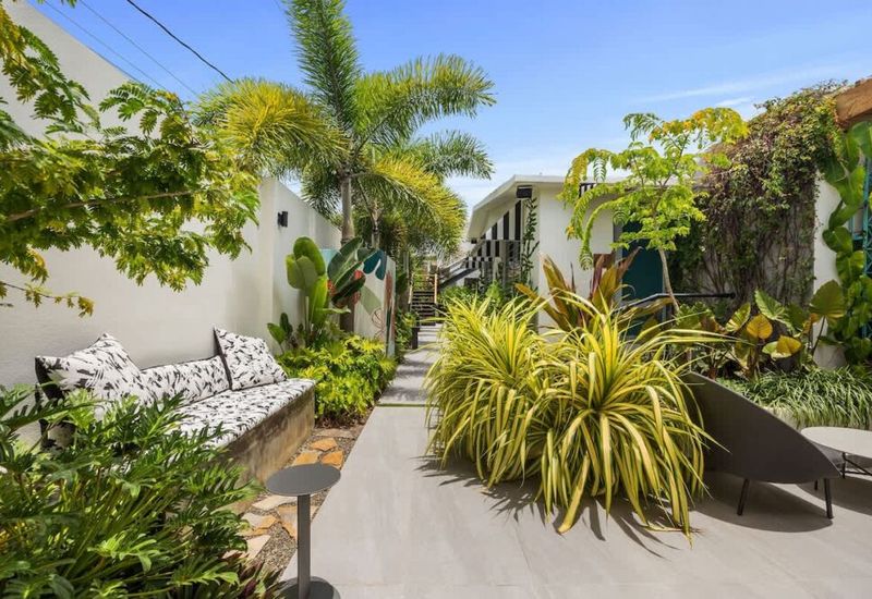 87d99a36 fa38 45 YN c9