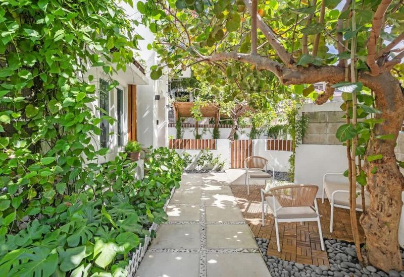 6bl-piccioni 1 d3109cec db01 47 EwwHn