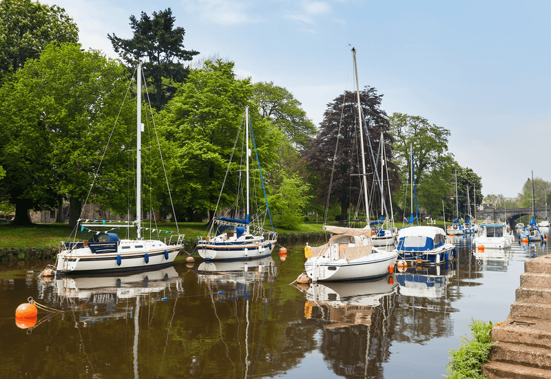 The best pubs in totnes cover image
