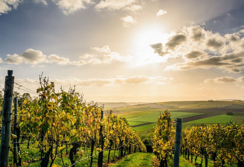 The best things to do near bigbury-on-sea cover image