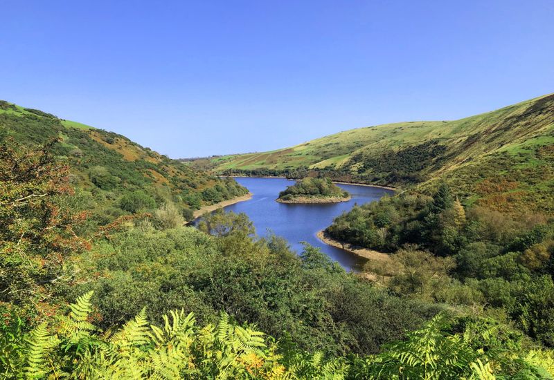 Dartmoor national park cover image