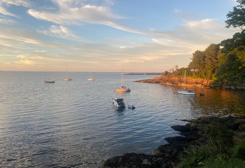 The best brixham beaches cover image