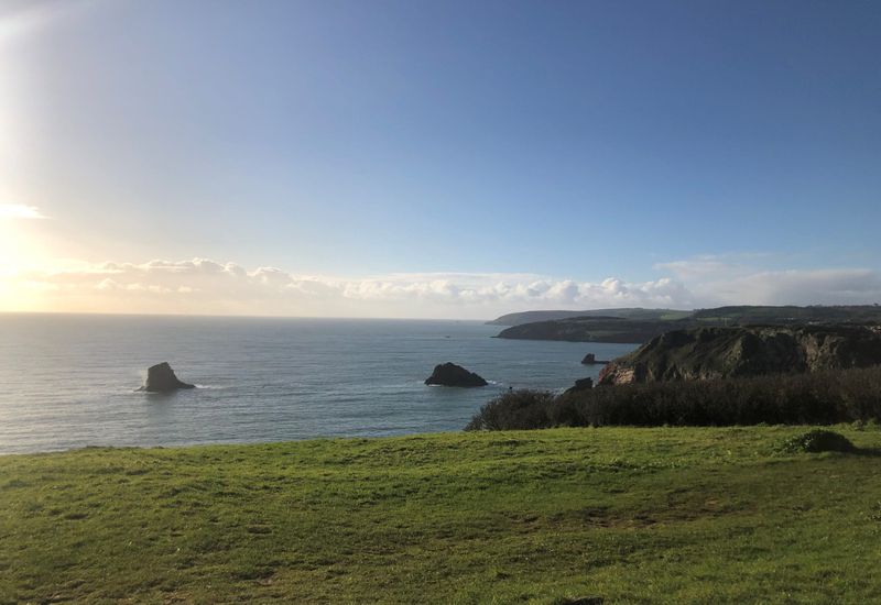 The best brixham walks cover image