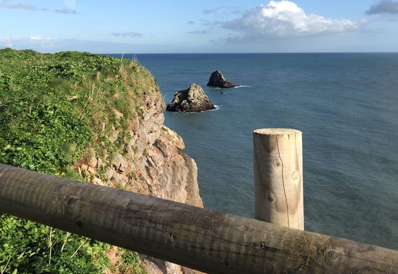 The best events in brixham cover image