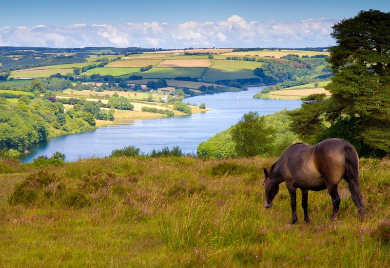 The best things to do in barnstaple cover image