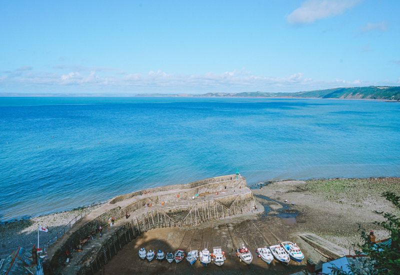 The best annual barnstaple events to not miss cover image