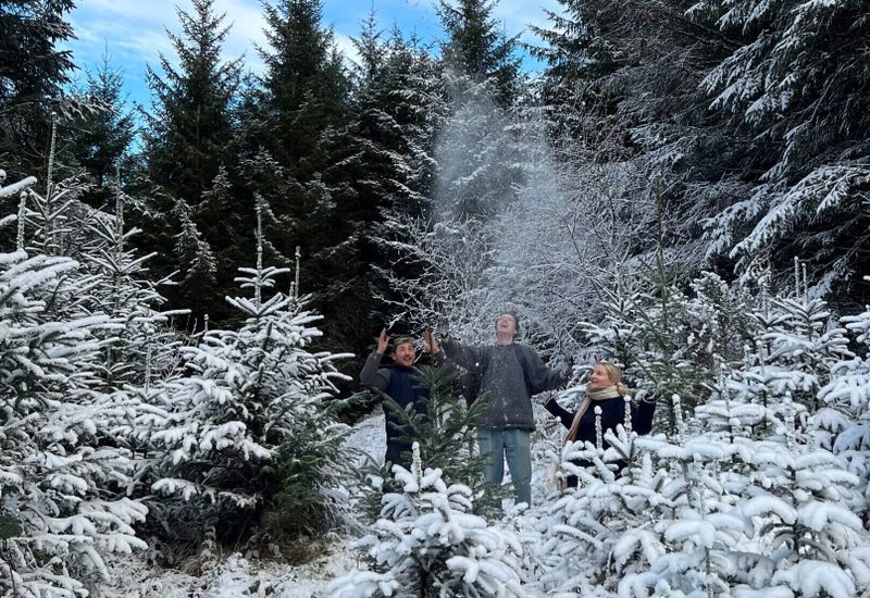 What to do this twixmas in devon cover image