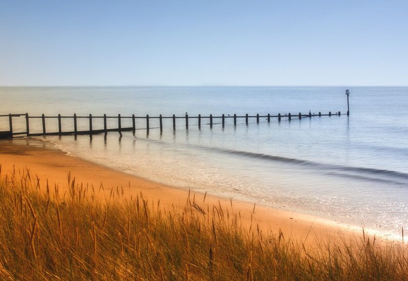 Experience a beautiful staycation in devon in 2024 cover image