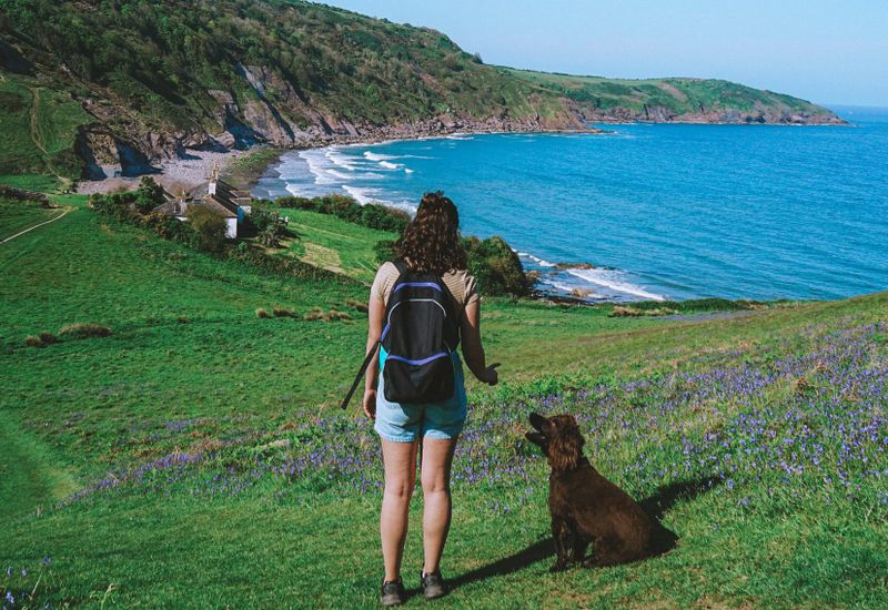 The best dog friendly activities in north devon cover image