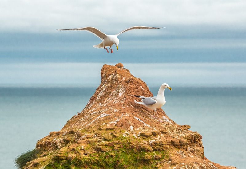 The best walks around barnstaple cover image