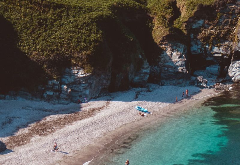 Why the south devon coast? Cover image