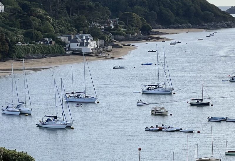 Must-see coastal towns in devon cover image