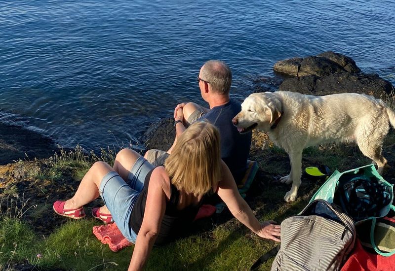 Things to do in devon with a dog cover image