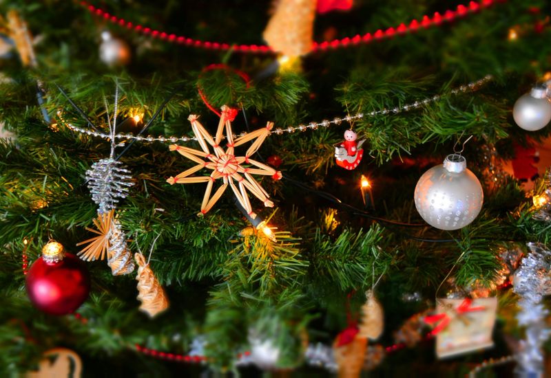 The best activities for christmas day in devon cover image
