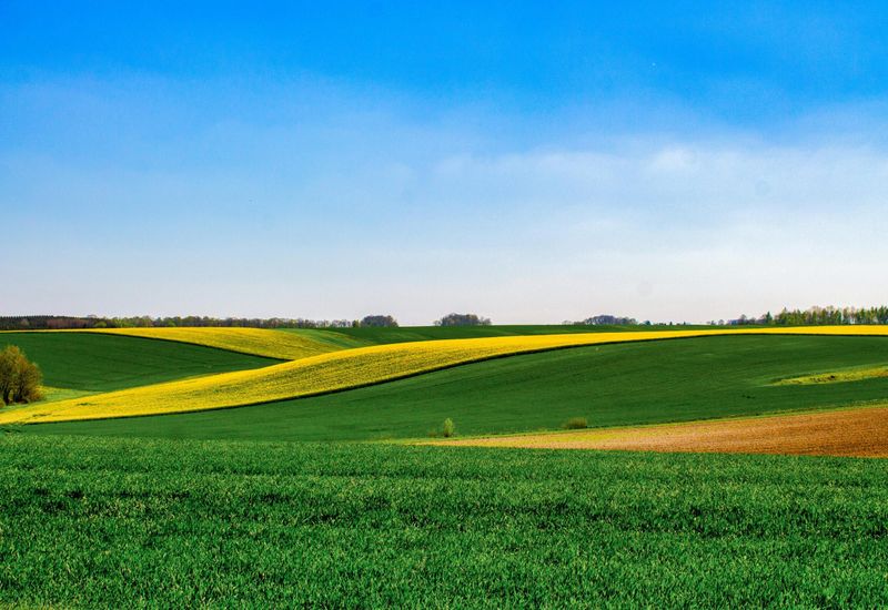 Things to do with the kids around blackawton cover image
