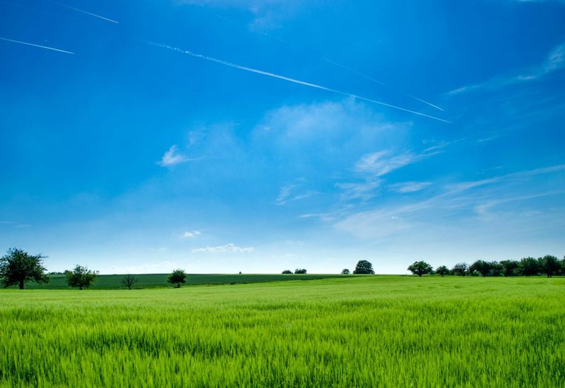 The best walks to try around blackawton cover image