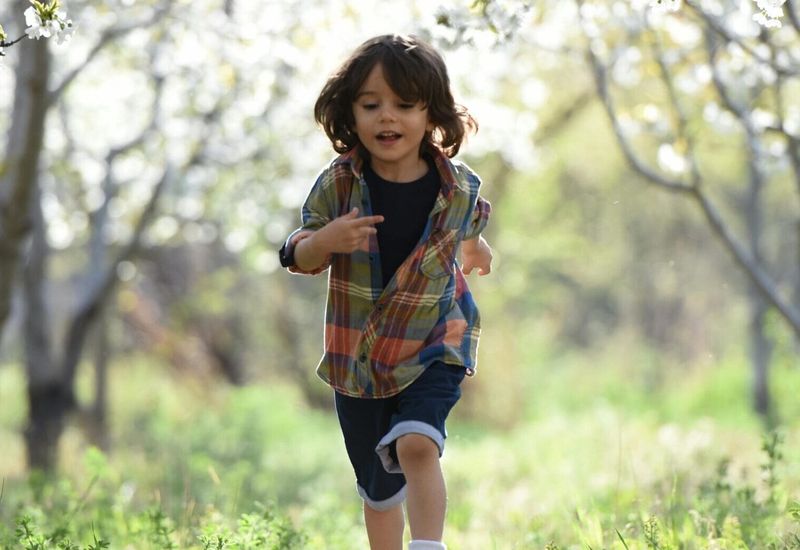 Things to do in kingsbridge for kids cover image