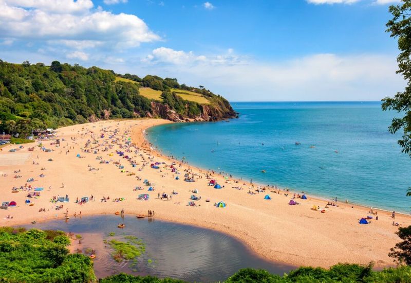 A guide to beaches in devon: where coastline meets charm cover image