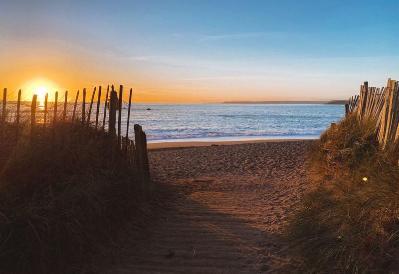 Fall in love with devon cover image