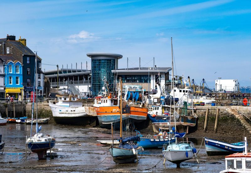 Fishing in devon: a guide to the best spots and tips for anglers cover image