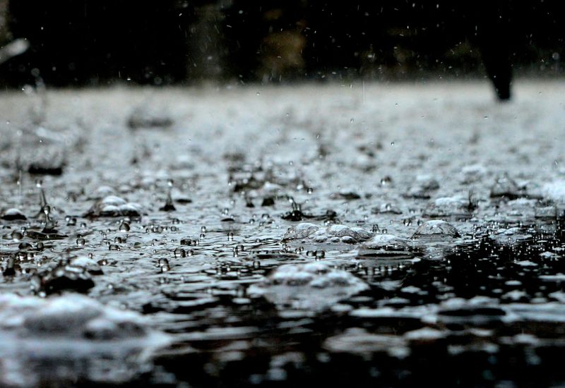 Things to do in the rain in and around kingsbridge, devon cover image
