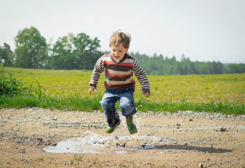 Things to do with kids in kingswear cover image