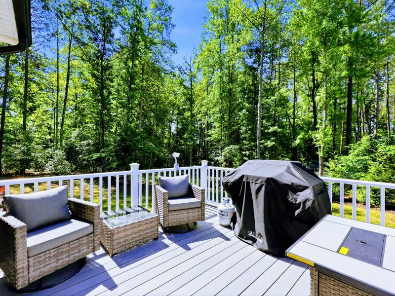 Deck - Covered side deck with lounge seating and a gas grill, shaded by the surrounding trees.