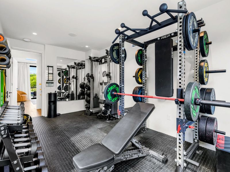 Gym - A fully equipped home gym with squat rack, free weights, and forest views.