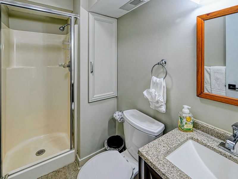 Bathroom 3 - A lower-level full bath with a glass walk-in shower and a granite-topped vanity.