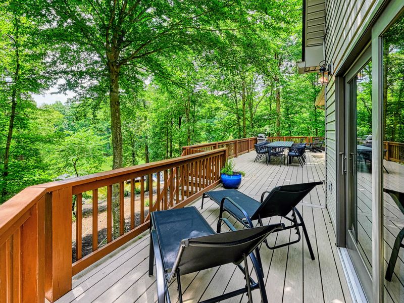 Deck Seating - Pull a chair into the trees for a quiet coffee with birdsong and filtered light.