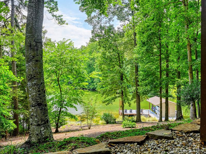 Wooded Waterfront - A path through mature trees opens to the cove and your private stretch of Lake Anna.