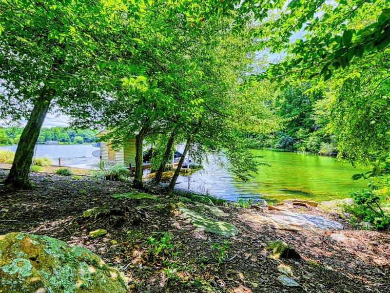 Cove Views - Look out across a calm, protected cove toward the wooded shoreline of Lake Anna State Park.